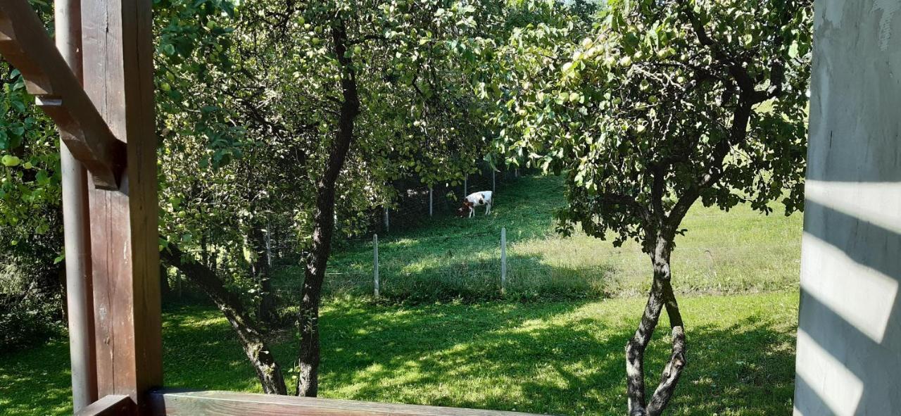 Agroturystyka Nad Czarnym Giby Ngoại thất bức ảnh