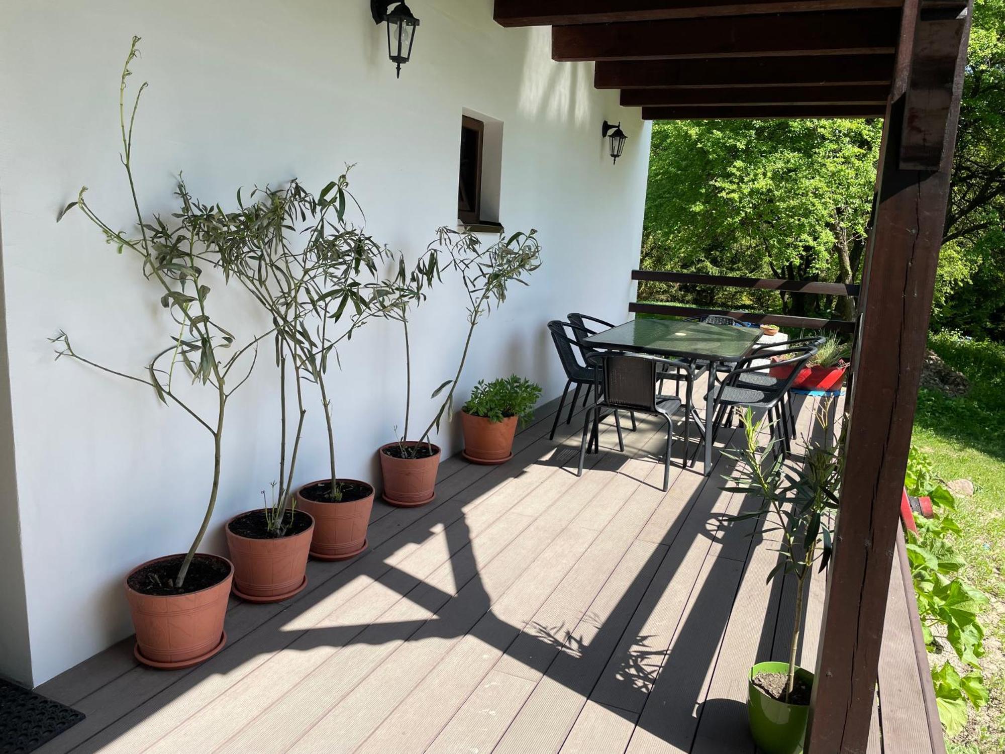 Agroturystyka Nad Czarnym Giby Ngoại thất bức ảnh